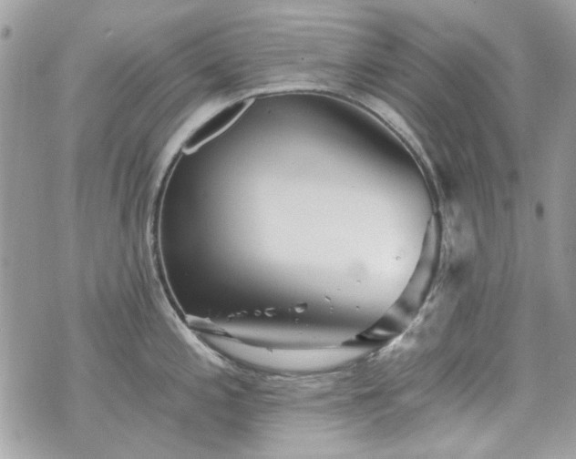 X0000070361197200606161243