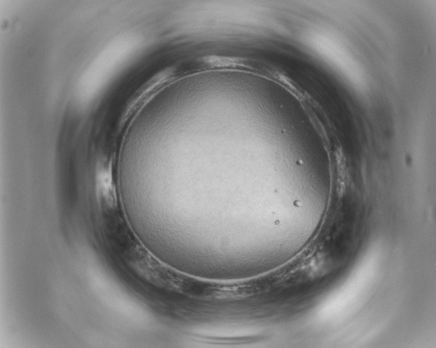 X0000070361198200606161243