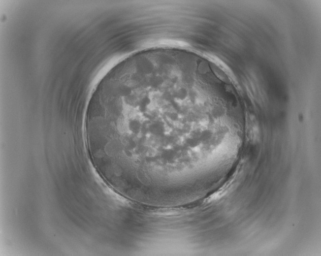 X0000070361199200606161243