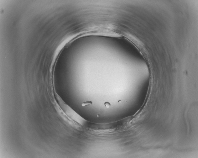 X0000070361200200606161243