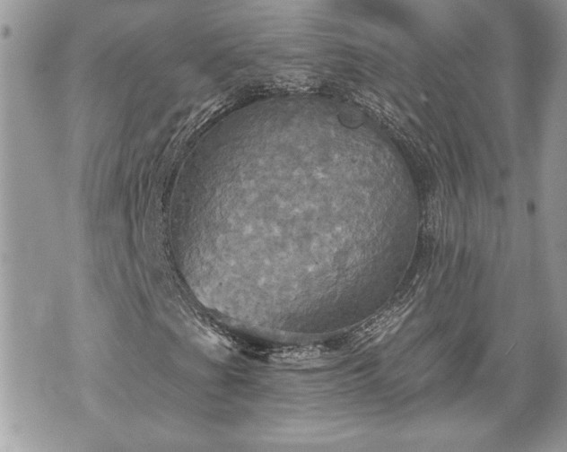 X0000070361201200606161243