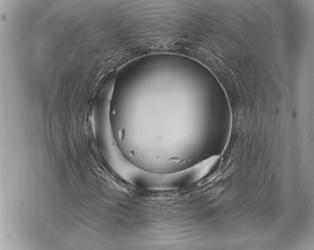 X0000070361202200606161243