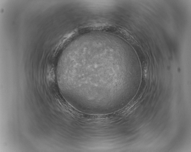 X0000070361204200606161243