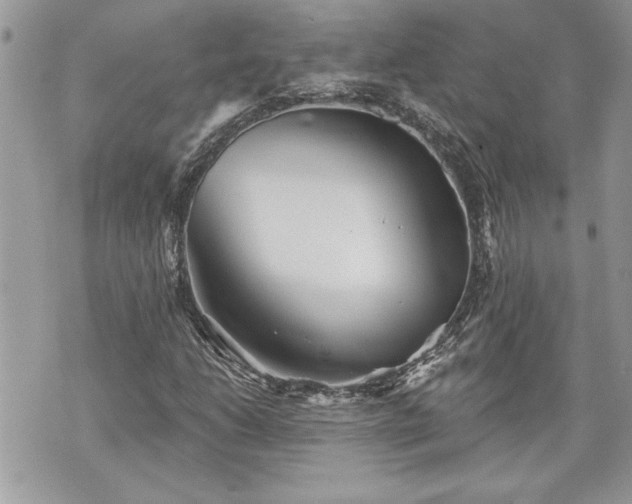 X0000070361206200606161243