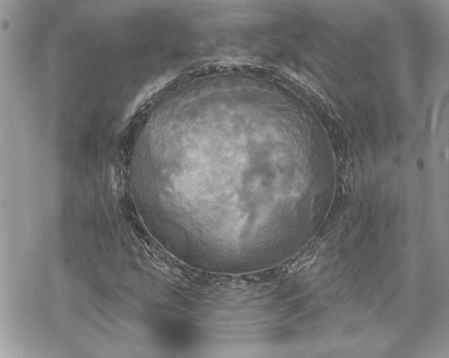 X0000070361207200606161243