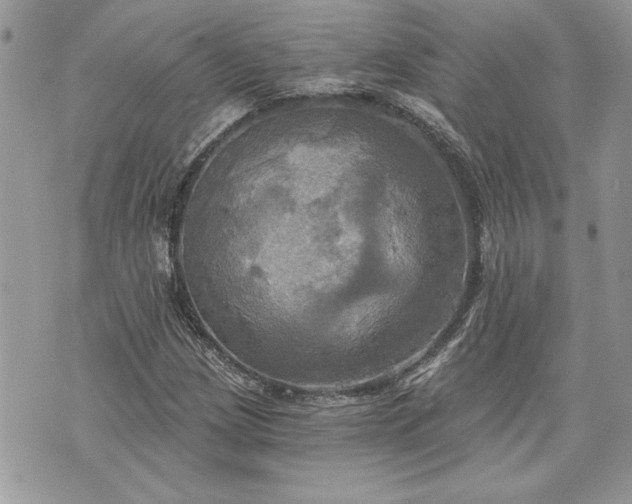 X0000070361209200606161243