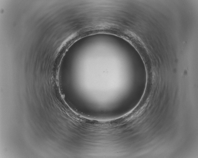 X0000070361210200606161243