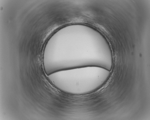 X0000070361212200606161243