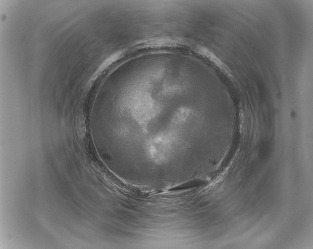 X0000070361213200606161243