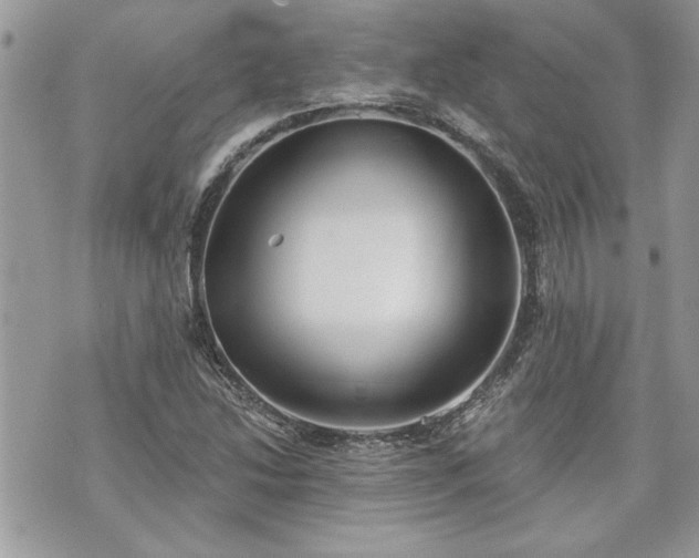 X0000070361214200606161243