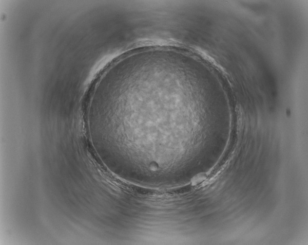 X0000070361215200606161243