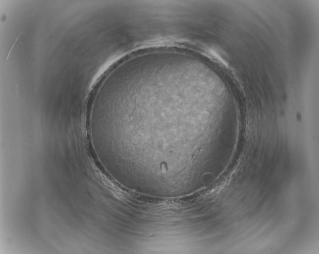 X0000070361216200606161243