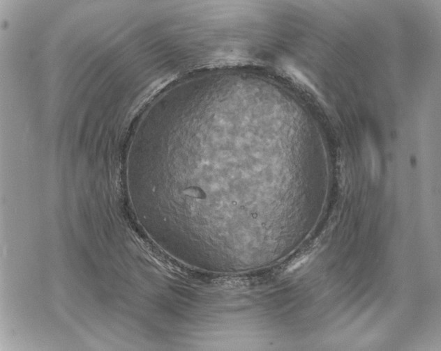 X0000070361217200606161243