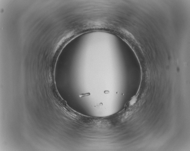 X0000070361218200606161243