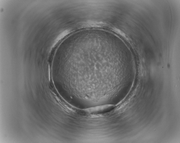 X0000070361219200606161243