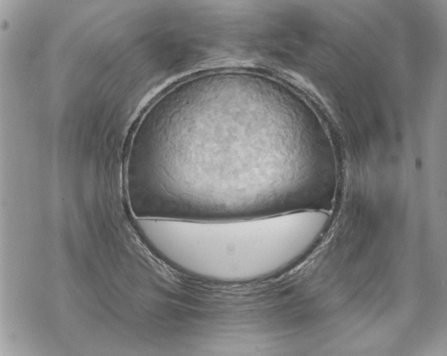 X0000070361220200606161243