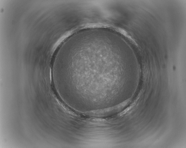 X0000070361221200606161243