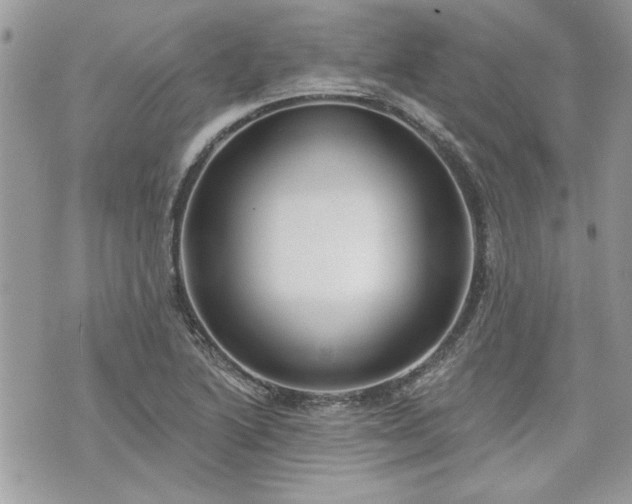 X0000070361222200606161243