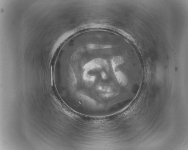 X0000070361223200606161243