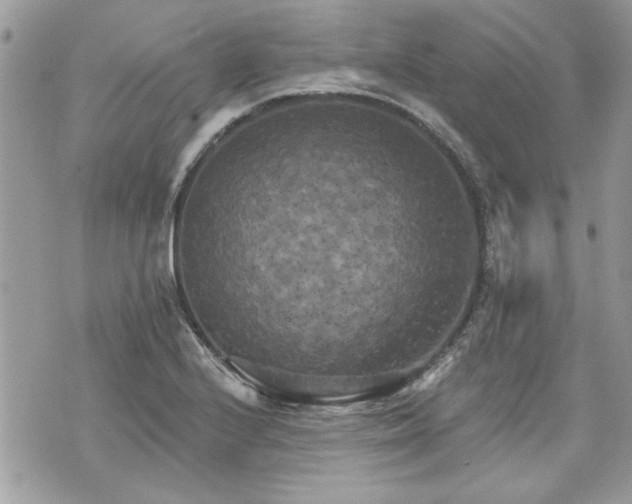 X0000070361224200606161243