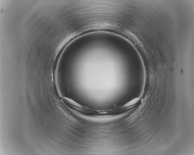 X0000070361226200606161243