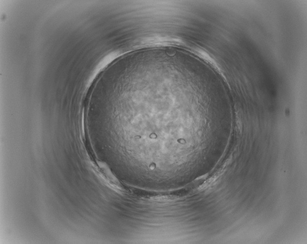 X0000070361227200606161243