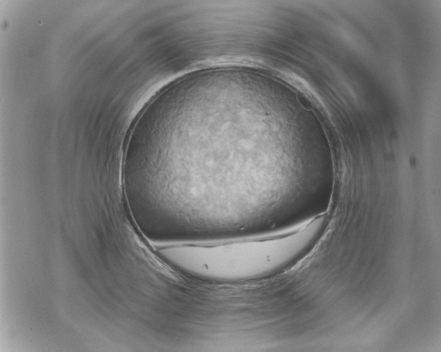 X0000070361228200606161243