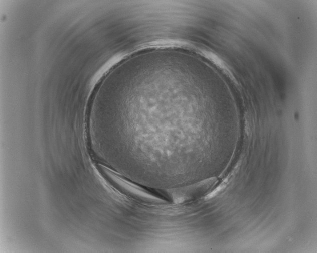 X0000070361229200606161243