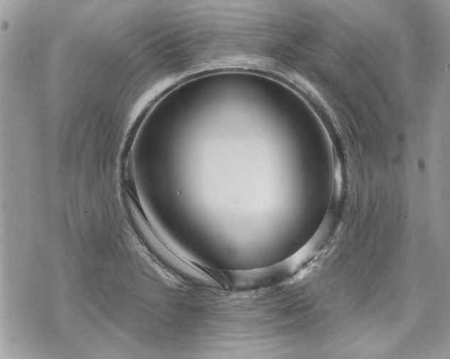 X0000070361230200606161243