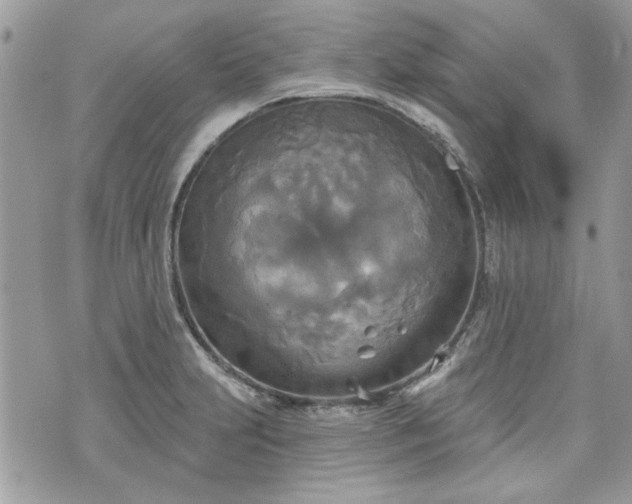 X0000070361231200606161243