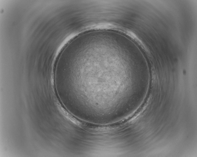 X0000070361232200606161243