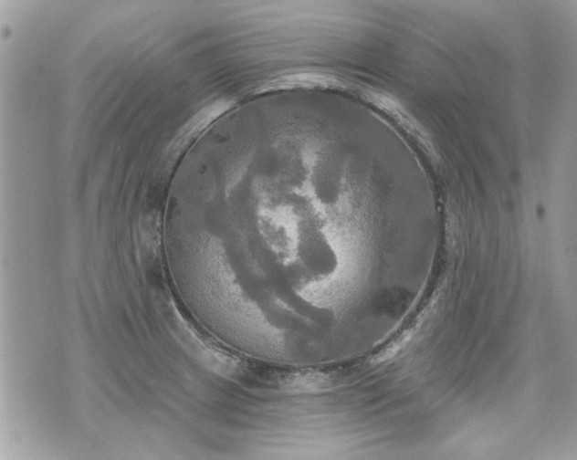 X0000070361233200606161243