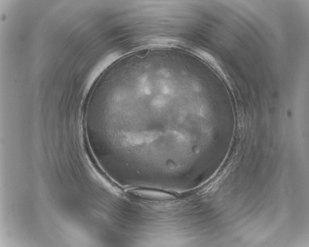 X0000070361235200606161243