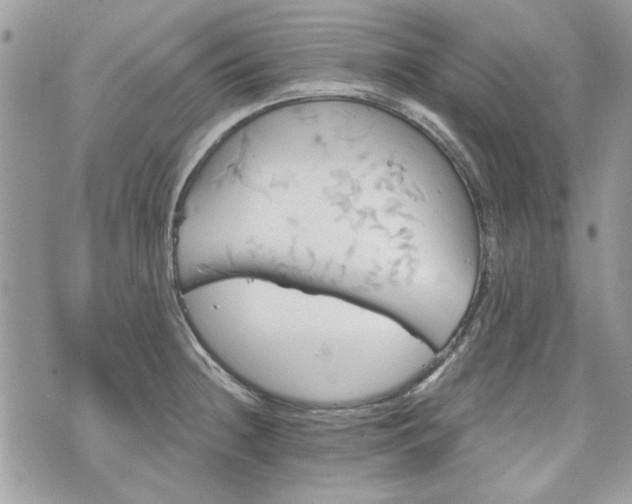 X0000070361236200606161243