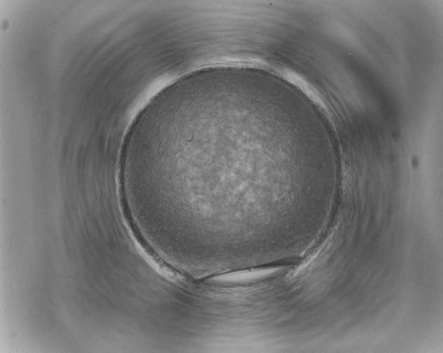 X0000070361237200606161243