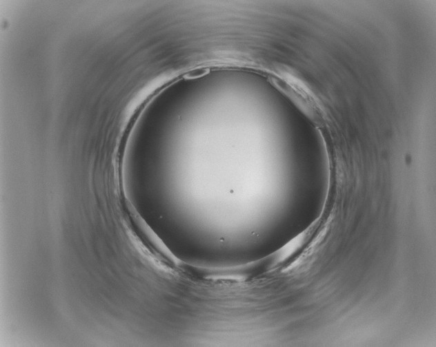 X0000070361238200606161243