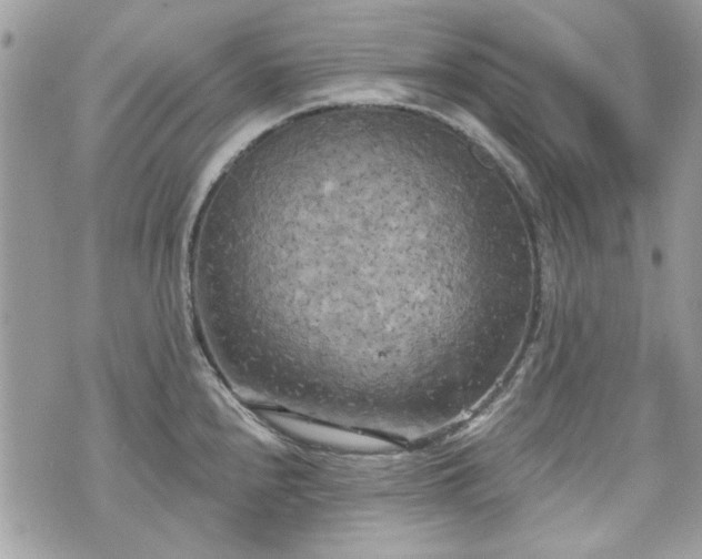 X0000070361240200606161243