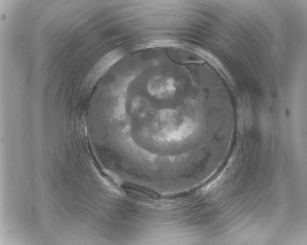 X0000070361241200606161243