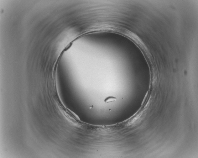 X0000070361242200606161243