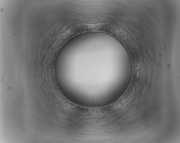 X0000070361249200606161243