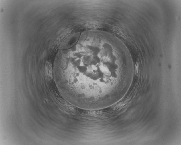 X0000070361251200606161243