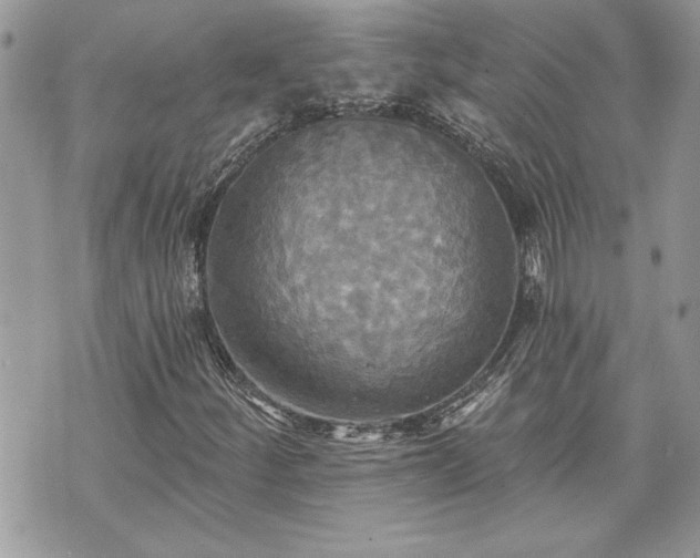 X0000070361252200606161242