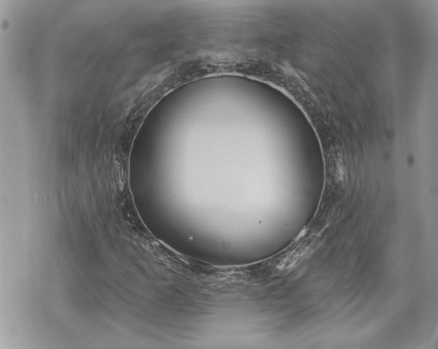 X0000070361253200606161242