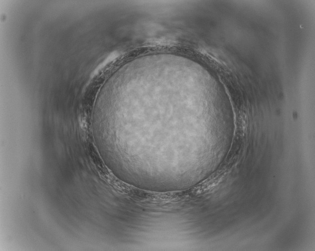 X0000070361254200606161242