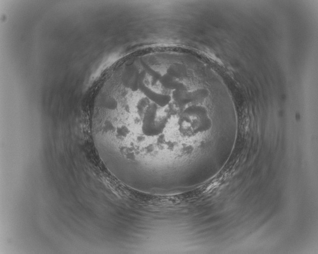 X0000070361255200606161242