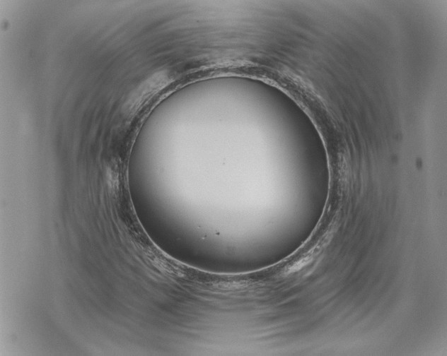 X0000070361257200606161242