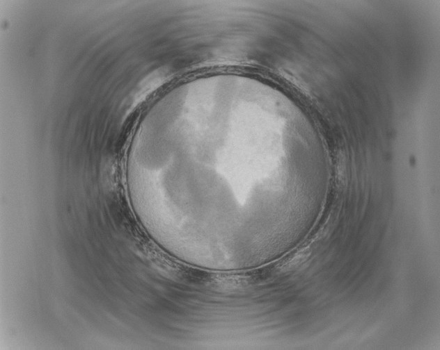 X0000070361258200606161242