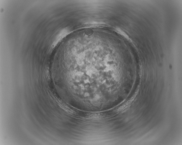 X0000070361259200606161242