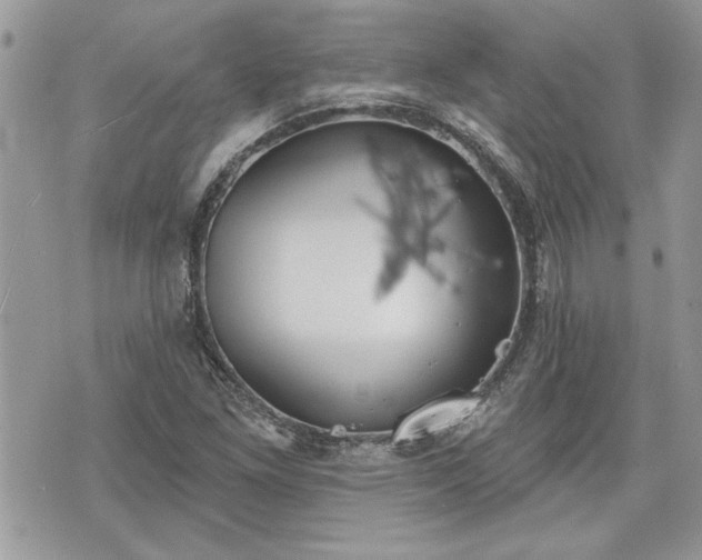 X0000070361261200606161242