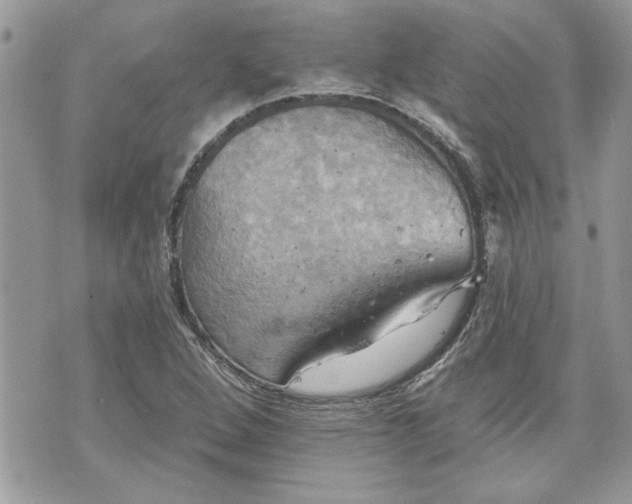 X0000070361264200606161242